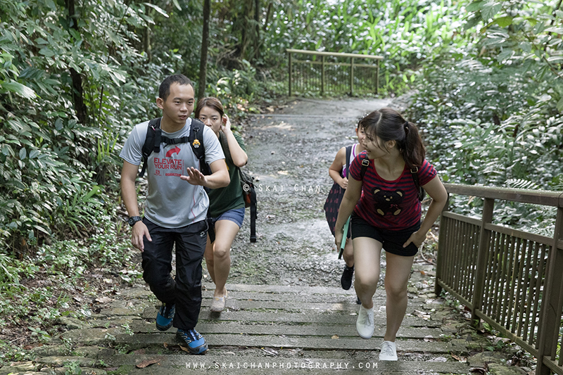 Friends' hiking photoshoot session with Yonghao, Huiting, Jiayu & Julia at Mount Faber (Southern Ridges)