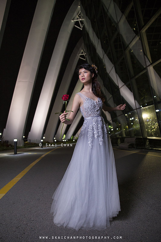Night bridal photoshoot session with Robyn Skye at Gardens by the Bay