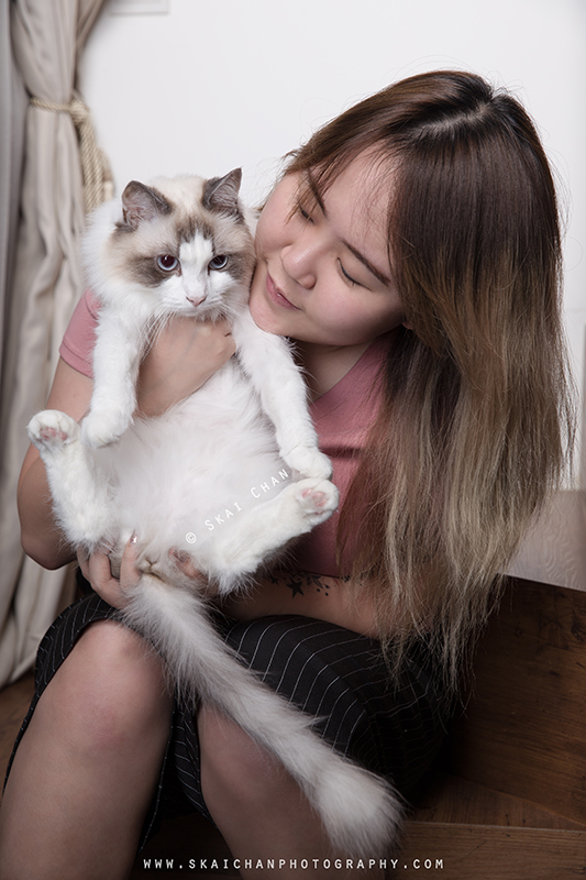 Pet cat photoshoot session with Kelly Lim, Misha and Sky