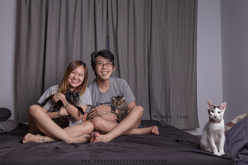 tengah home portrait promotion