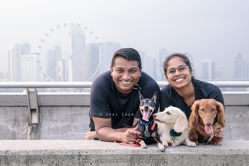 Outdoor dogs with owners photoshoot for Prakash & Darsheni at Marina Barrage