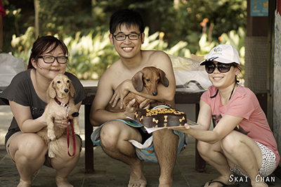 Barkday | Luckie's Birthday