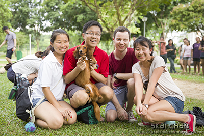 Animal event | Dog Gathering