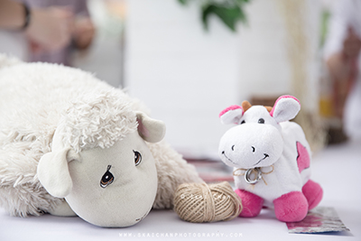 typical wedding photographer cost