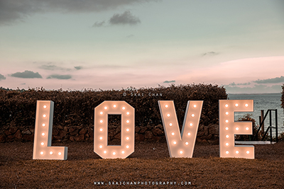 professional wedding photographers