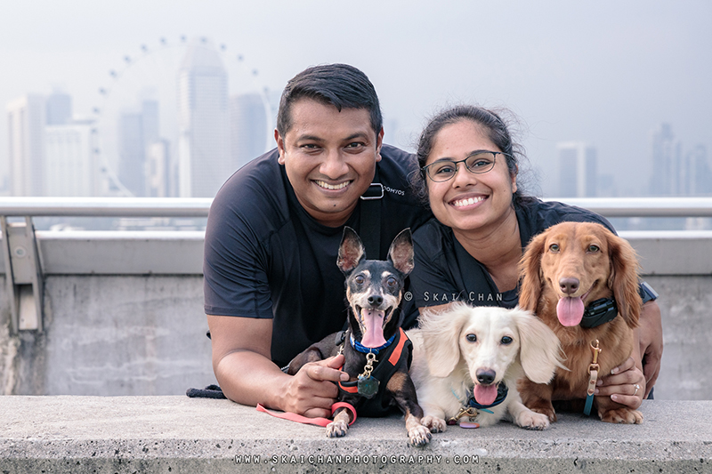 Professional dog photographer in Singapore