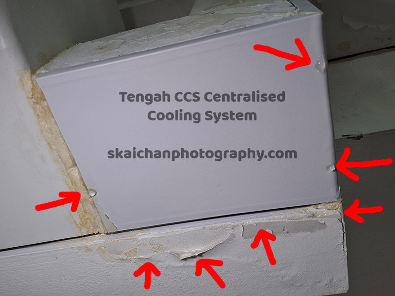 Tengah CCS Centralised Cooling System Leaking in Singapore
