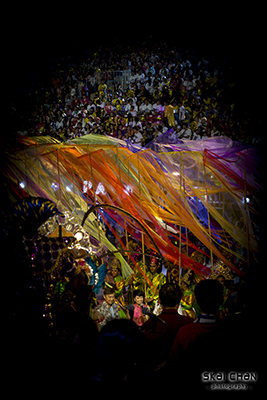 head blocking the view of parade