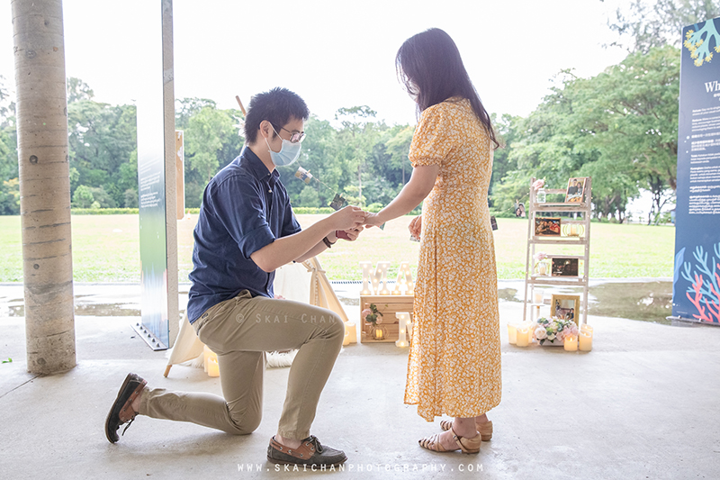 surprise proposal photography