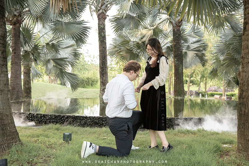 marriage proposal photography