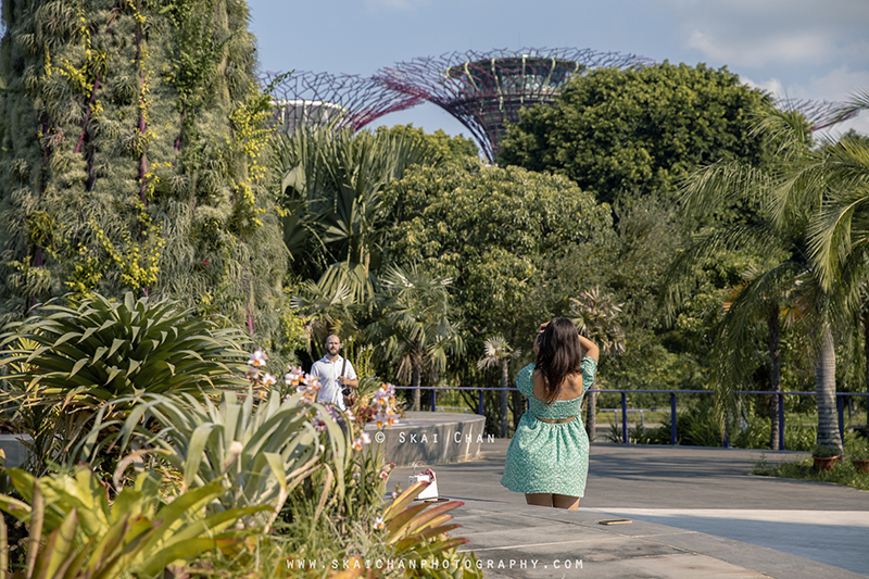 wedding photographer proposal