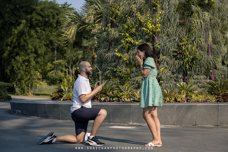 hidden photographer proposal