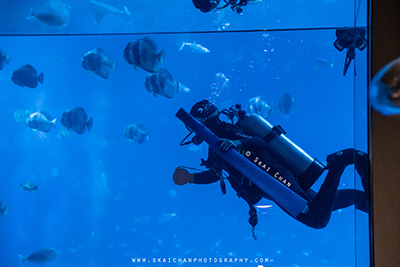 surprise proposal photographer