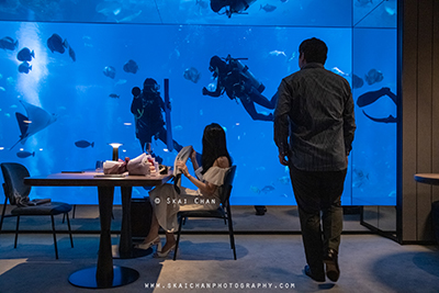 photographer for proposal