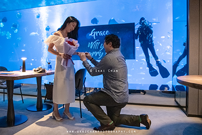 marriage proposal photographer