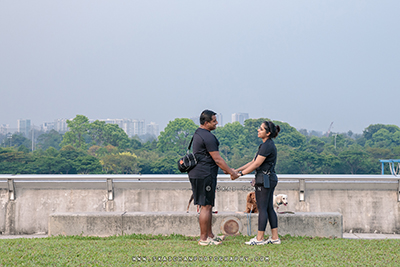 wedding proposal photographer