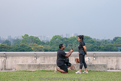 marriage proposal photographer