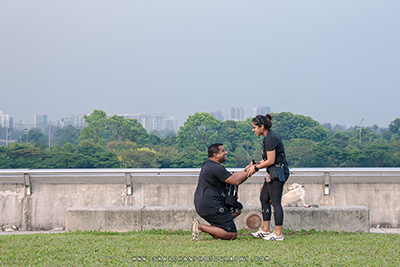 surprise wedding proposal photographer