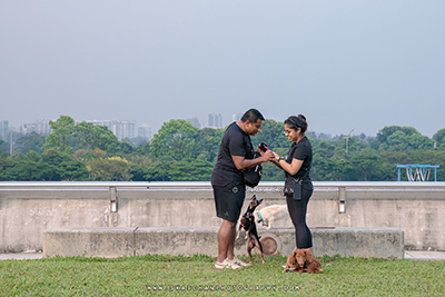 surprise proposal photographer