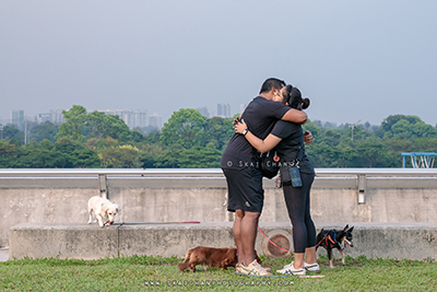 proposal photographer