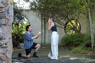 surprise proposal in GBTB